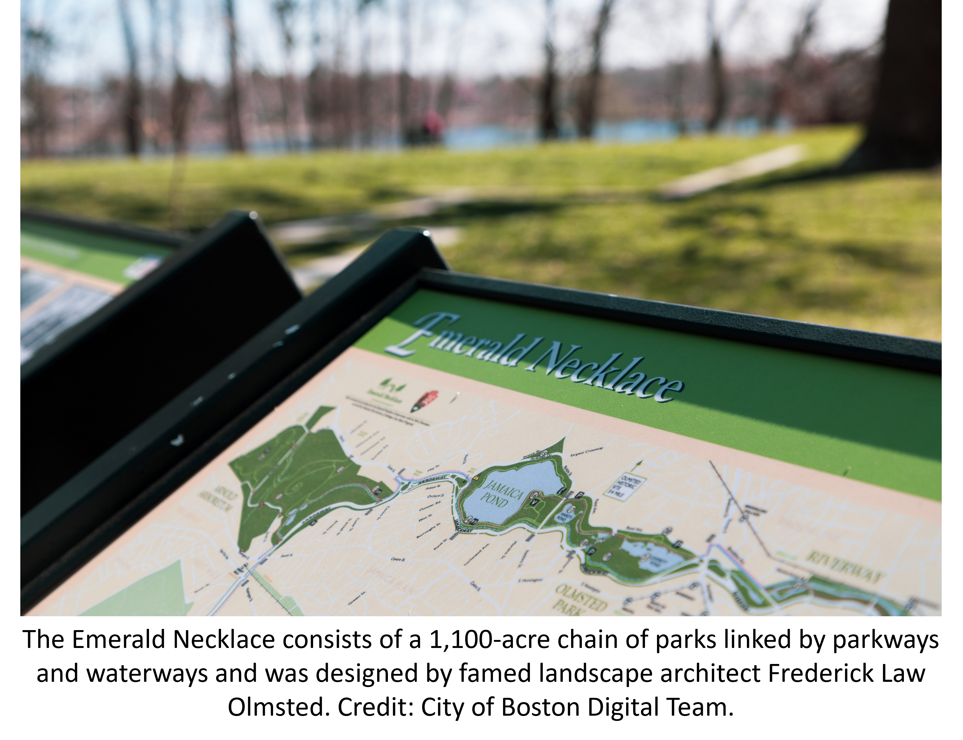 The Emerald Necklace consists of a 1,100-acre chain of parks linked by parkways and waterways and was designed by famed landscape architect Frederick Law Olmsted. Credit: City of Boston Digital Team.