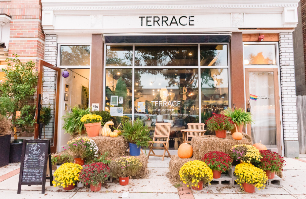 The exterior of the storefront for a plant shop. The storefront features large windows with the words "TERRACE Plant Shop" installed on the central pane; in the sidewalk area directly in front of the windows, hay bales, wooden folding chairs, and potted flowers create a seating area.