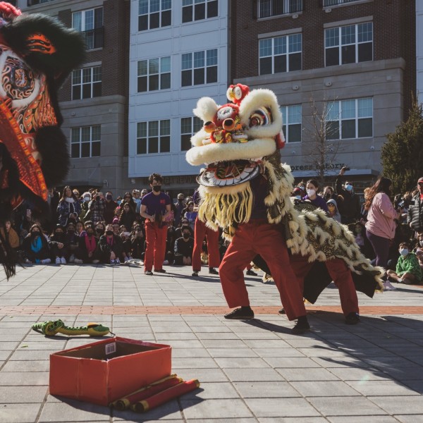 Lunar New Year lion dancers perform in a plaza.