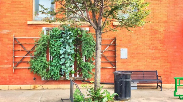Vertical planters on an orange brick wall.