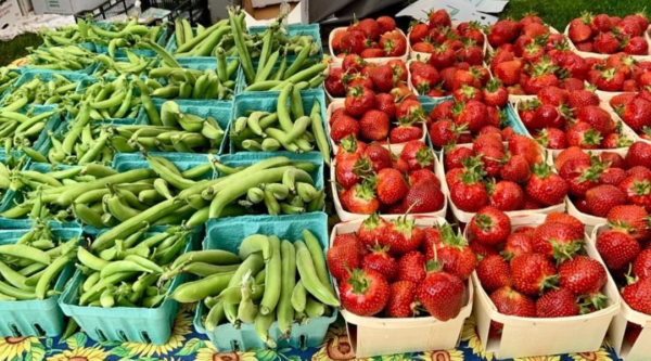 Baskets full of fresh green beans and strawberries