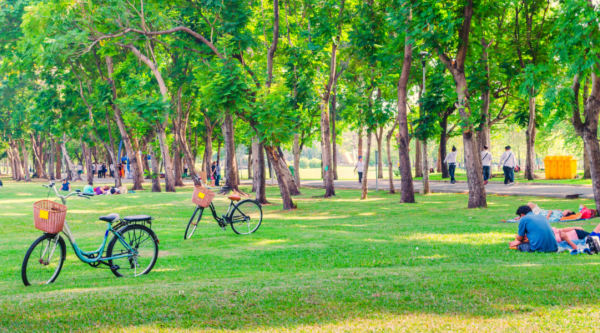 A park with bicycles and people sitting on picnic blankets