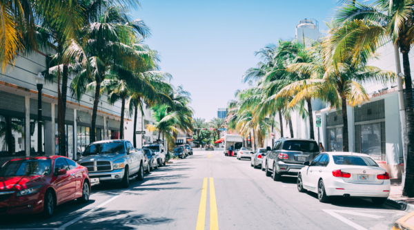 Parking along a palm-tree-lined street in Miami